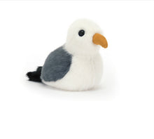 Load image into Gallery viewer, Bridling Seagull
