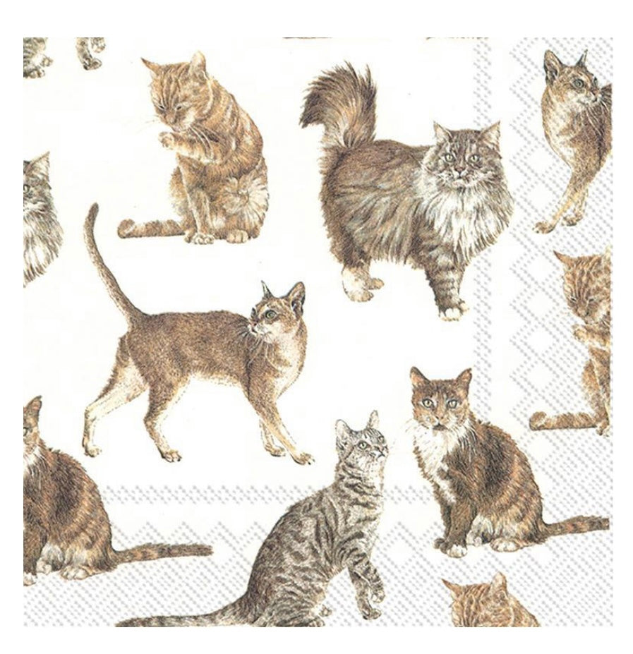 My Favorite Cat Napkins. 20 Pack