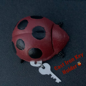 Ladybug Key Hider