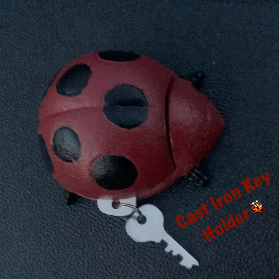 Ladybug Key Hider