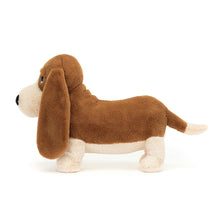 Load image into Gallery viewer, Randall Basset Hound
