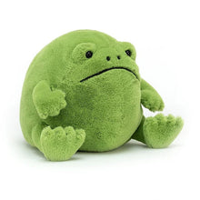 Load image into Gallery viewer, Ricky Rain Frog
