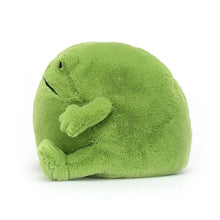 Load image into Gallery viewer, Ricky Rain Frog
