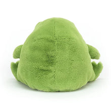 Load image into Gallery viewer, Ricky Rain Frog
