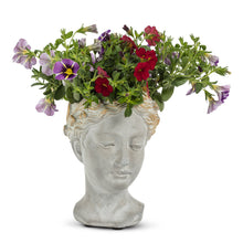 Load image into Gallery viewer, Aphrodite Woman Head Planter

