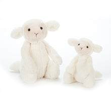 Load image into Gallery viewer, Bashful Lamb- Assorted Sizes
