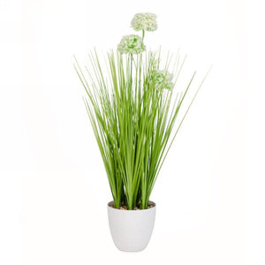 Faux Allium Plant in White Pot