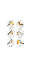 Load image into Gallery viewer, Watercolor Robin Magnet (6 pc. set)
