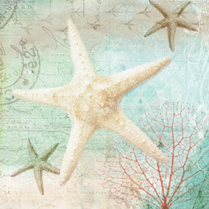 Coaster- Starfish