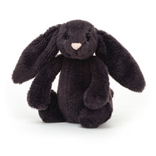 Load image into Gallery viewer, Bashful Inky Bunny-Assorted Sizes
