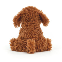 Load image into Gallery viewer, Cooper Labradoodle Pup

