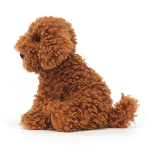 Load image into Gallery viewer, Cooper Labradoodle Pup
